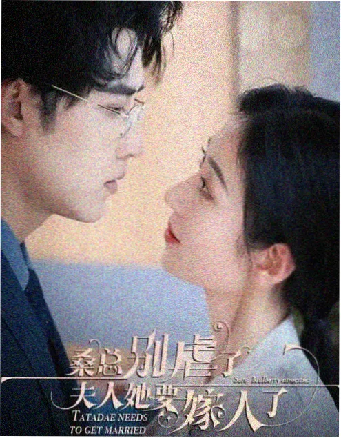 红楼梦1987高分剧集